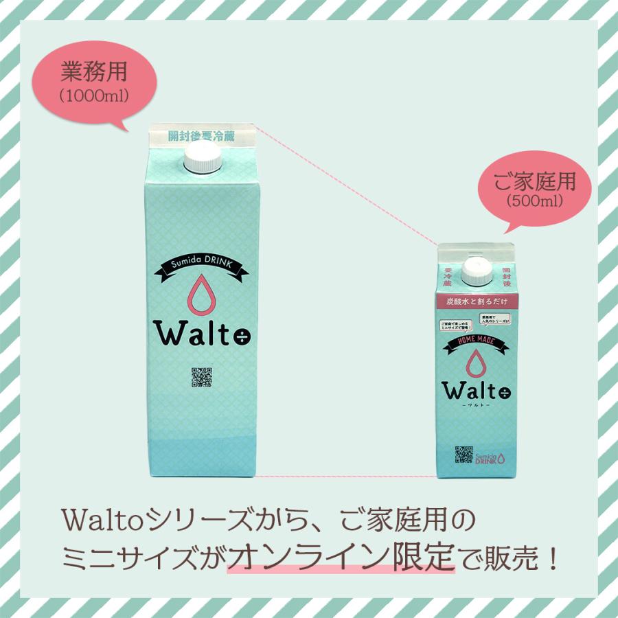 スミダ飲料 ミニWalto メロンソーダベース 500ml / 希釈|飲料|ソーダ