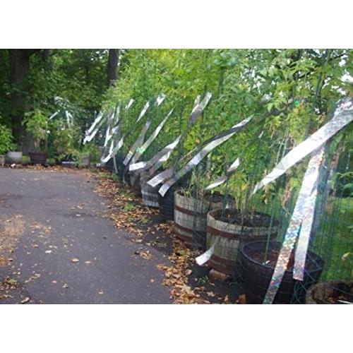 鳥よけ 防鳥 キラキラ ホログラムテープ 3d効果 4cm 45m 撃退 ハト スズメ カラス ムクドリ ヒヨドリ 鳩 つばめ 対策 撃退 R Azumaya 通販 Yahoo ショッピング