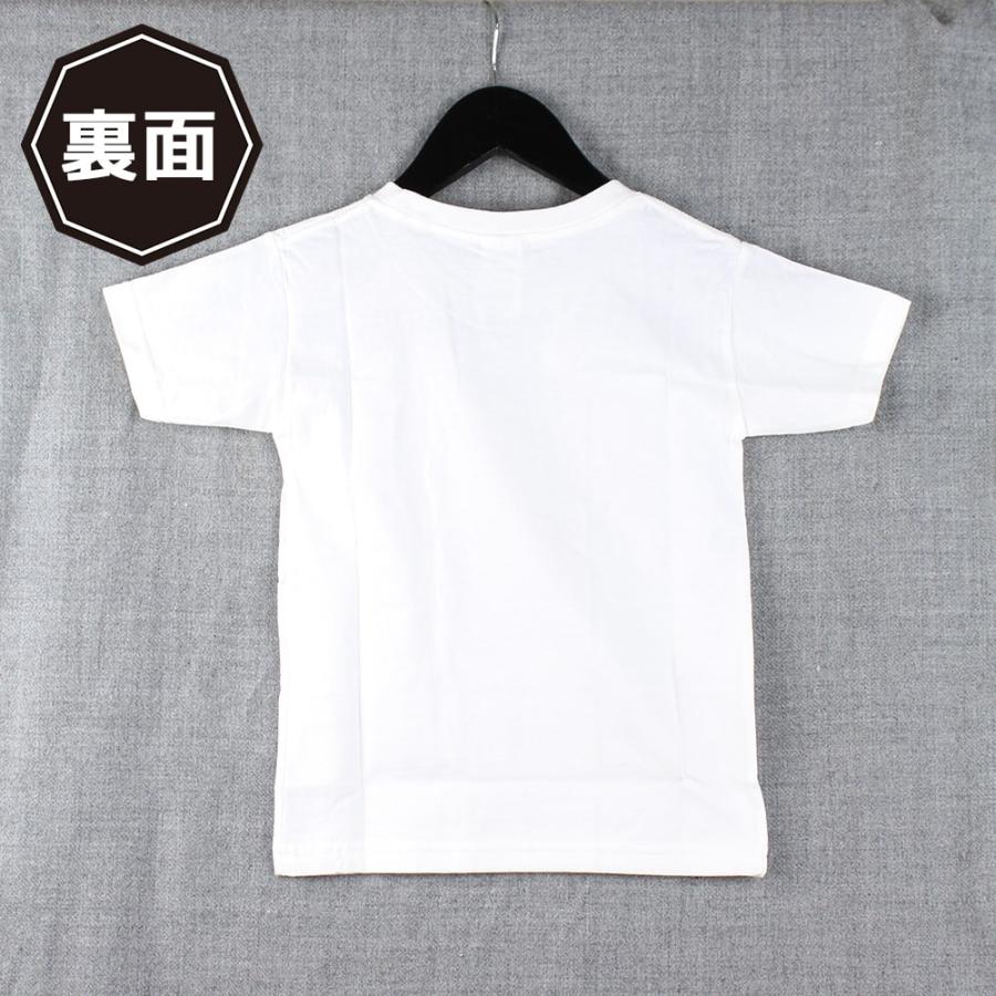 下呂温泉ファンクラブのイメージキャラクター げろぐるくんｔシャツ 下呂温泉 下呂 ゲロぐる カエル 蛙 ご当地 ポスト投函 1 Gg 暮らしを創る あずさ屋 通販 Yahoo ショッピング