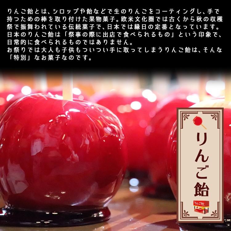 まとめ買い りんご飴 リンゴ味 お土産 岐阜銘菓 1g 和菓子 音羽屋 Wantannas Go Id