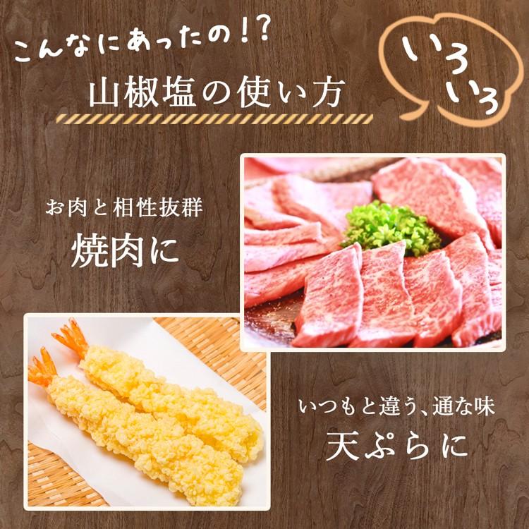予約 絶品飛騨山椒 山椒塩 25g サンショウ クレイジーソルト 香草塩 ハーブ Aynaelda Com
