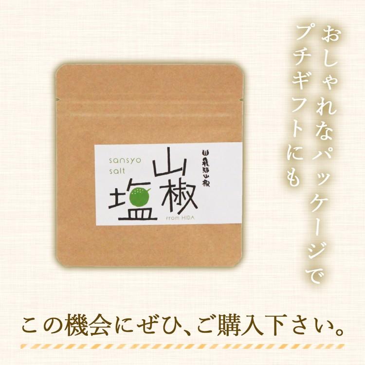 絶品 飛騨山椒 山椒塩 袋タイプ 10g サンショウ クレイジーソルト 香草塩 ハーブ ミールキット ポスト投函 5 H 暮らしを創る あずさ屋 通販 Yahoo ショッピング