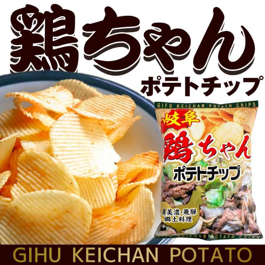 岐阜 鶏ちゃんポテトチップ ポテトチップス チキン 味噌 ポテチ 100g