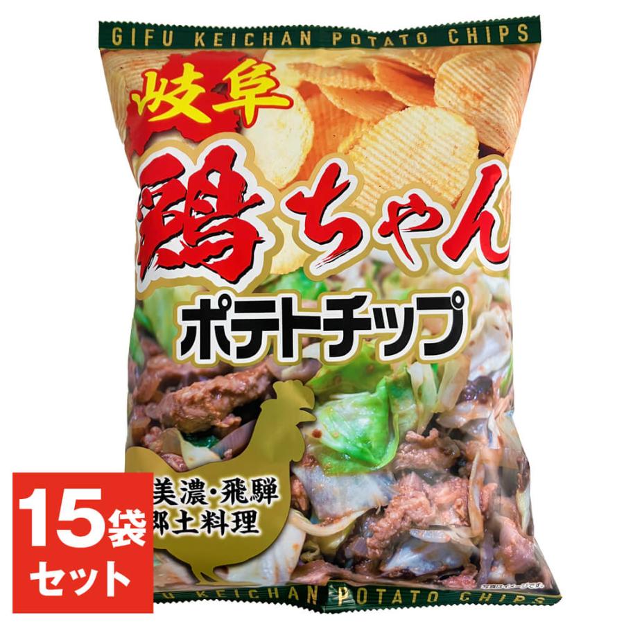 歩くポテチ 岐阜 鶏ちゃんポテトチップ ポテトチップス チキン 味噌 ポテチ 100g