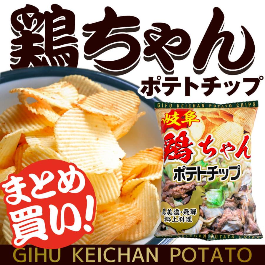 歩くポテチ 岐阜 鶏ちゃんポテトチップ ポテトチップス チキン 味噌 ポテチ 100g