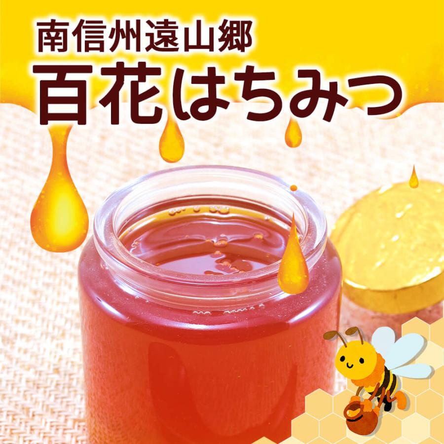 南信州遠山郷 百花はちみつ 蜂蜜 500g はちみつ水 : 暮らしを創る