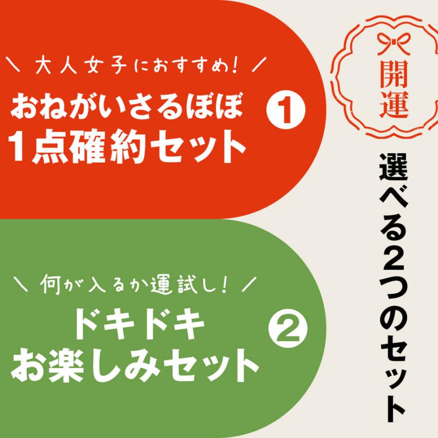 福袋 飛騨 開運さるぼぼグッズ 運試し福袋 さるぼぼ セット 安産 子宝