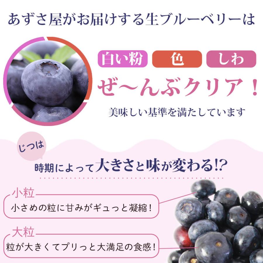 2026年度終了 信州産 生ブルーベリー1kg（250g×4パック）7月初旬〜発送