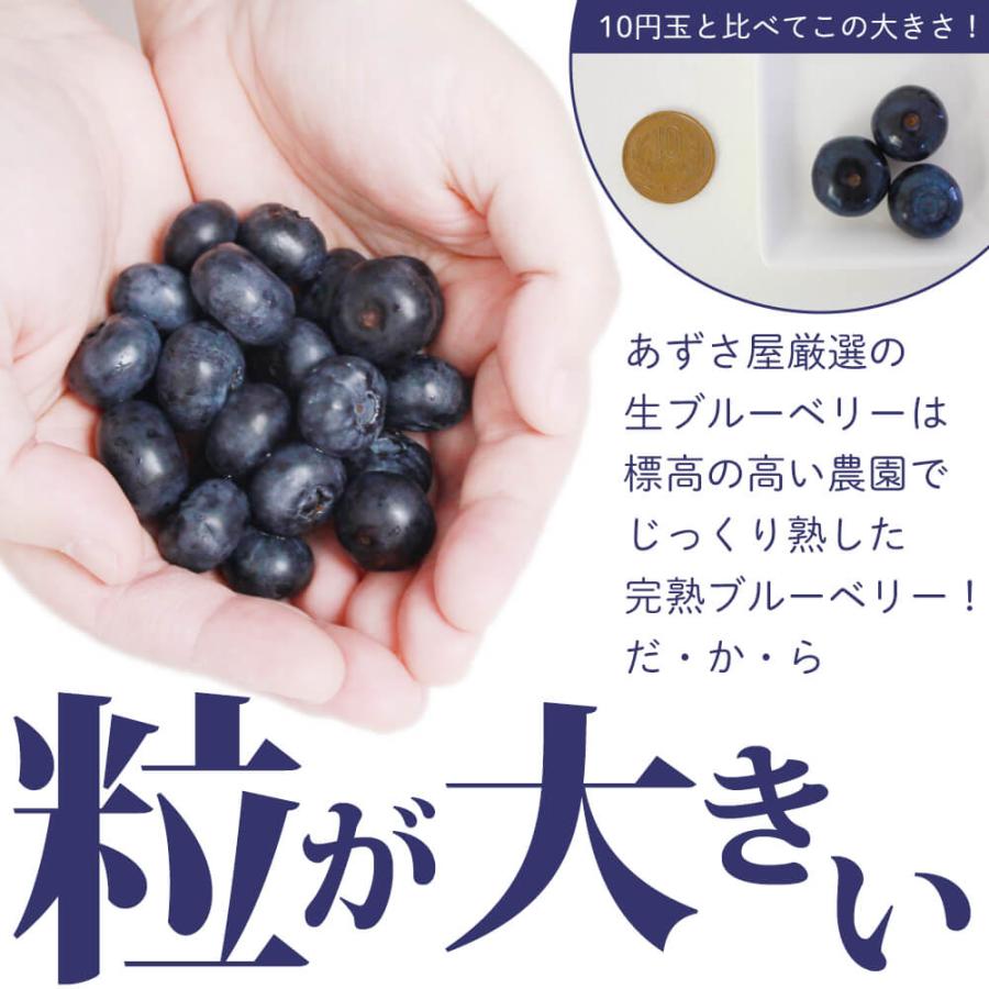 2026年度終了 信州産 生ブルーベリー1kg（250g×4パック）7月初旬〜発送