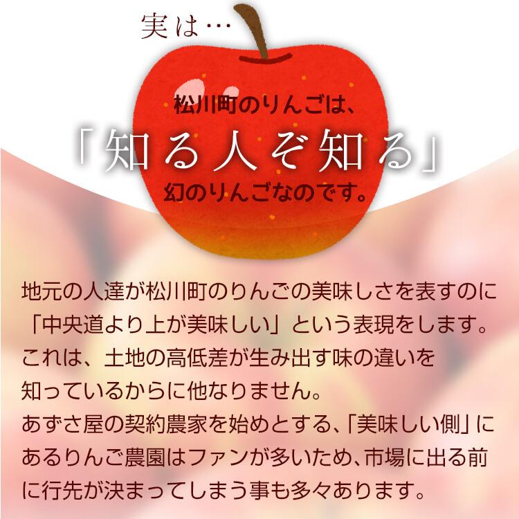 りんご 5kg 松川りんご(ふじ) 信州 12月中旬〜発送 松川町 リンゴ 林檎