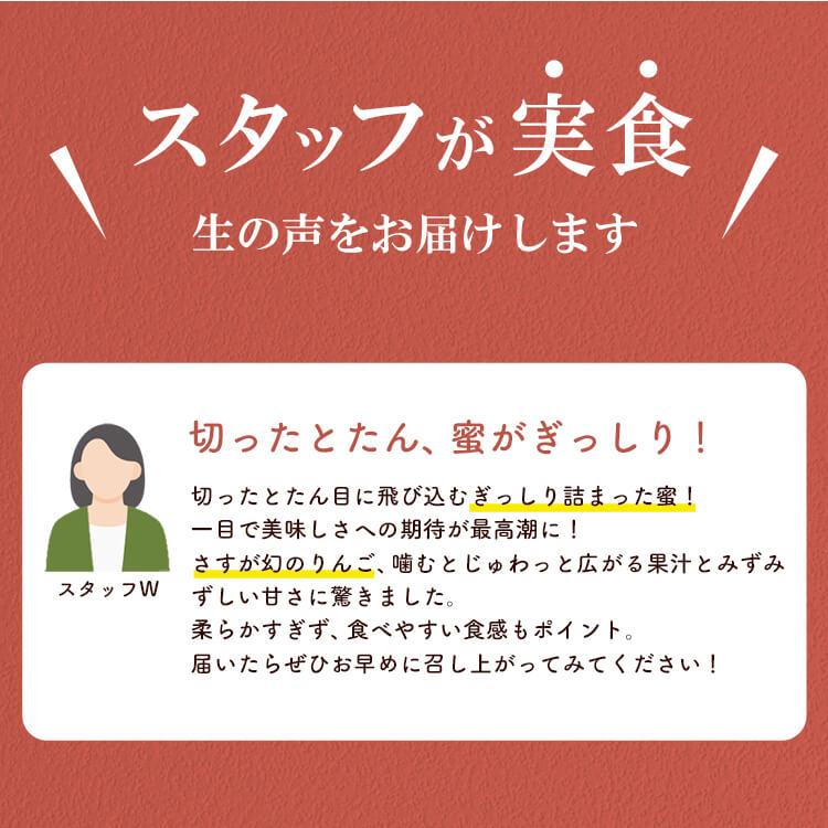 りんご 5kg 松川りんご(ふじ) 信州 12月中旬〜発送 松川町 リンゴ 林檎