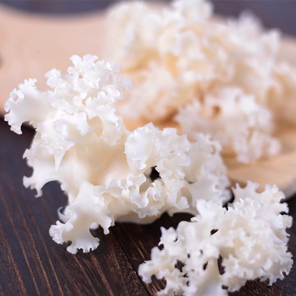 はなびらたけ 花びら茸 南信州産 ハナビラタケ 80g 8株 Bグルガン配合 Sg 暮らしを創る あずさ屋 通販 Yahoo ショッピング