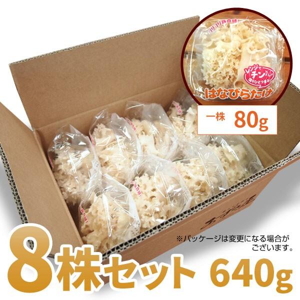 はなびらたけ 花びら茸 南信州産 ハナビラタケ 80g 8株 Bグルガン配合 Sg 暮らしを創る あずさ屋 通販 Yahoo ショッピング
