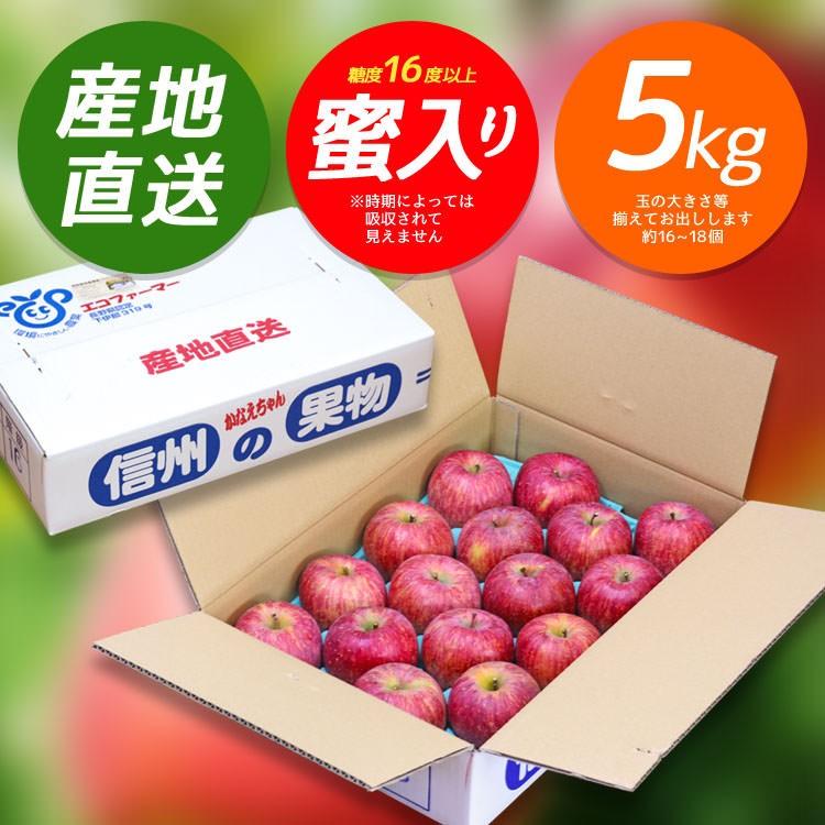 2021年度終了 ふじリンゴ 5kg箱 信州かなえちゃん農園 りんご 林檎 長野｜azusaya｜05