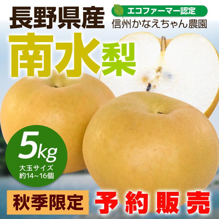 はる♡２箱♡南水梨♡大きめサイズ♡10玉入♡５kg箱入♡ 2025年度終了 南水梨 5kg箱 梨 なし 長野 ギフト : 暮らしを創る
