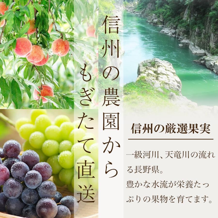 2025年度終了 南水梨 5kg箱 梨 なし 長野 ギフト : 暮らしを創る
