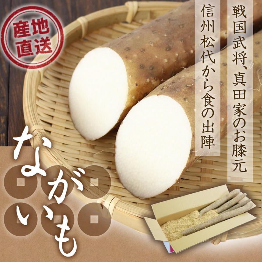 信州松代 ながいも 5Kg 長芋 長いも 山芋 とろろ 信州 長野 真田