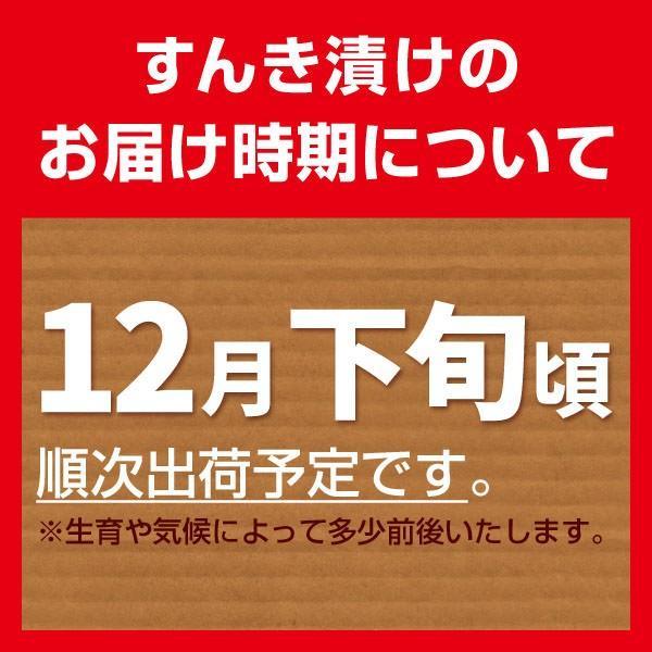 【2023年度予約】冬季限定 開田高原産　すんき（2袋セット）/木曽 赤かぶ 無塩 すんき漬け 開田 //｜azusaya｜15