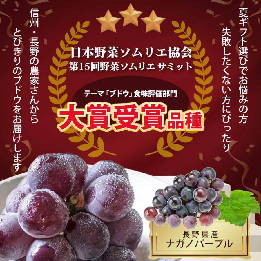 2026年度予約終了 信州産 ぶどう ナガノパープル Aランク 大房 2房