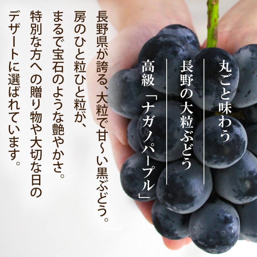 2026年度予約終了 信州産 ぶどう ナガノパープル Aランク 大房 2房