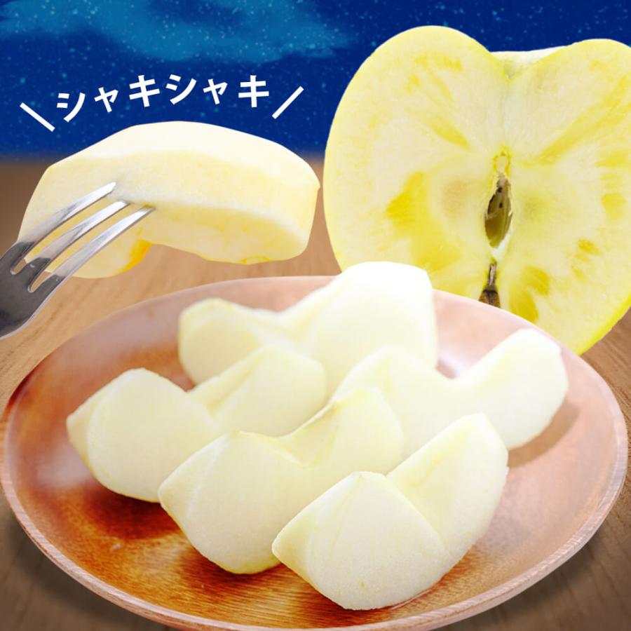 りんご ぐんま名月 信州産 5kg (約16〜20玉) 11月上旬〜発送 ギフト