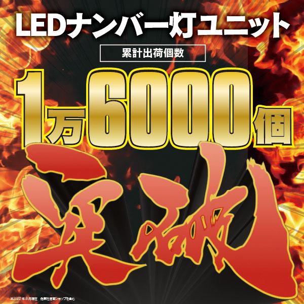 AZ) 80系 ノア NOAH ナンバー灯 LED ユニット 純正交換タイプ 36 AZ) 80系 ノア NOAH ナンバー灯 LED ユニット 純正交換タイプ 36