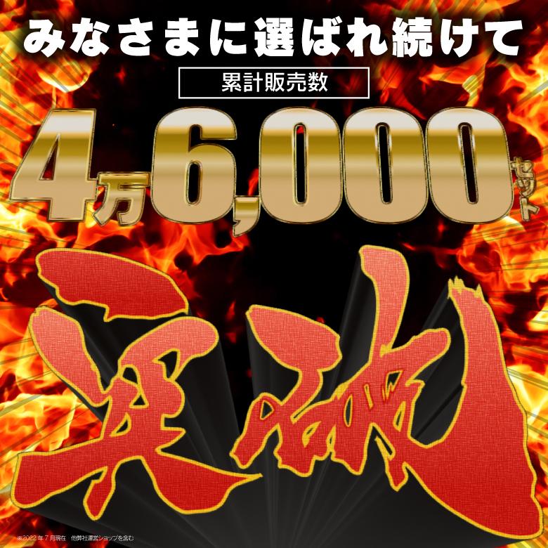 AZ製 エアコンフィルター 日産 エクストレイル T31系AY684-NS009（標準） (PM2.5対応) 活性炭入り クリーン エア フィルター アズーリ｜azzurri｜02