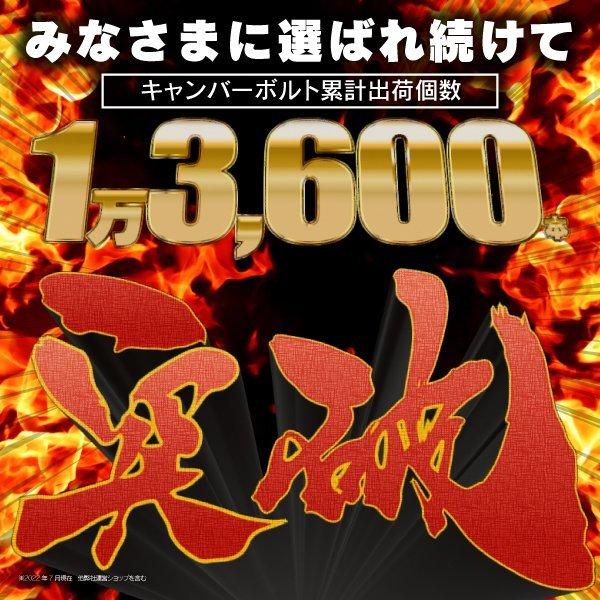 スズキ Kei HN フロント ±1.75° キャンバーボルト M12 2本セット 調整 (ネコポス送料無料) アズーリ|azzurri|02