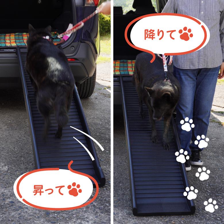 AZ) ペットスロープ 犬用 ドッグスロープ ペットステップ AZ) ペットスロープ 犬用 ドッグスロープ ペットステップ