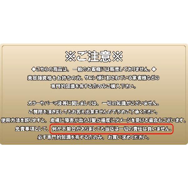 ホーユー レセ パウダーブリーチ EX 360g クリエイティブシリーズ【ゆうパック対応】｜azzurro｜03
