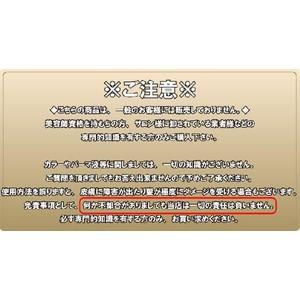 FIOLE（フィヨーレ） NEW BLカラーグロス 染毛料 900g【宅急便対応