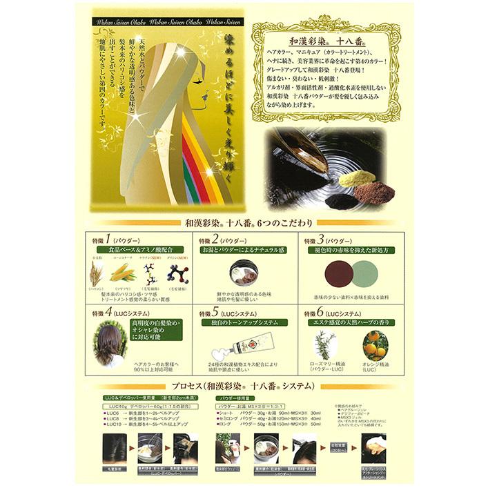 39本セット　和漢植物エキス 配合 1000ml カラー剤 の ２液 です　２剤 b-ex スロウ アッシュオキシ 第2剤 1000ml|throw OX3% OX6