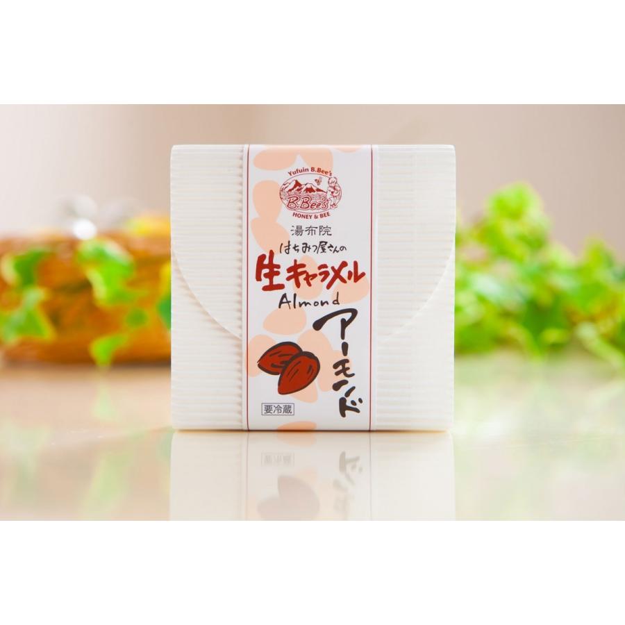 はちみつ屋さんの生キャラメル アーモンド | 