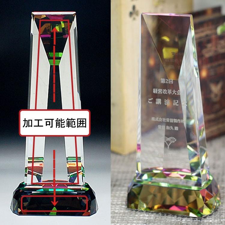 トロフィー 退職記念 プレゼント 記念品名入れプレゼントのビブレス とろふぃー_3