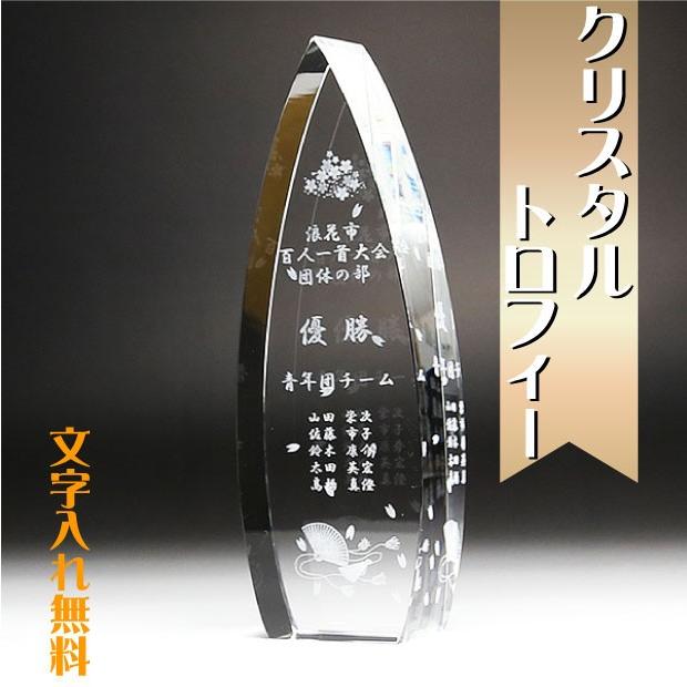 トロフィ 盾 勤続 年記念 楯 優勝杯 最優秀賞 trophy 大会記念トロフィー とろふぃー CR-24C