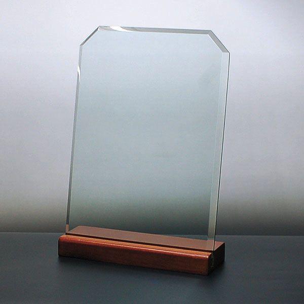 記念盾 感謝状 修了証 盾 楯 プラーク 優勝盾 敢闘賞 記念品 名入れ dsp