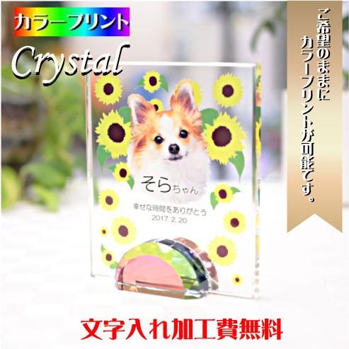 ペット 位牌 ペット位牌 メモリアル 遺影 仏壇 モダン 仏具 クリスタル位牌 ペット供養 本位牌