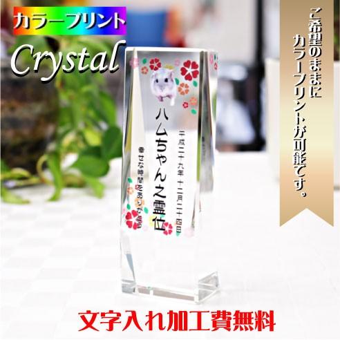 ペット位牌 位牌 ペット仏具 オーダーメイド カラープリント