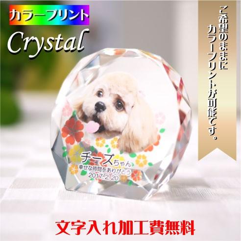 ペット 位牌 本位牌 ペット位牌 メモリアル 遺影 クリスタル位牌 ペット供養 UVプリント位牌