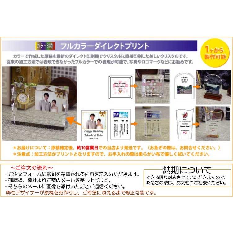トロフィー 感謝状 永年勤続表彰 カラープリント 記念品 名入れ 贈り物 退職記念 綬章 叙勲 祝い 勇退記念 Uv Cr 16a 記念品 名入プレゼントのビブレス 通販 Yahoo ショッピング