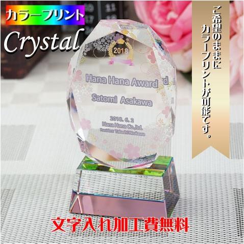 オリジナル 記念品 ラープリント トロフィー 記念品 名入れ 贈り物 退職 記念 綬章 叙勲 祝い Uv Cr 16c 記念品 名入プレゼントのビブレス 通販 Yahoo ショッピング