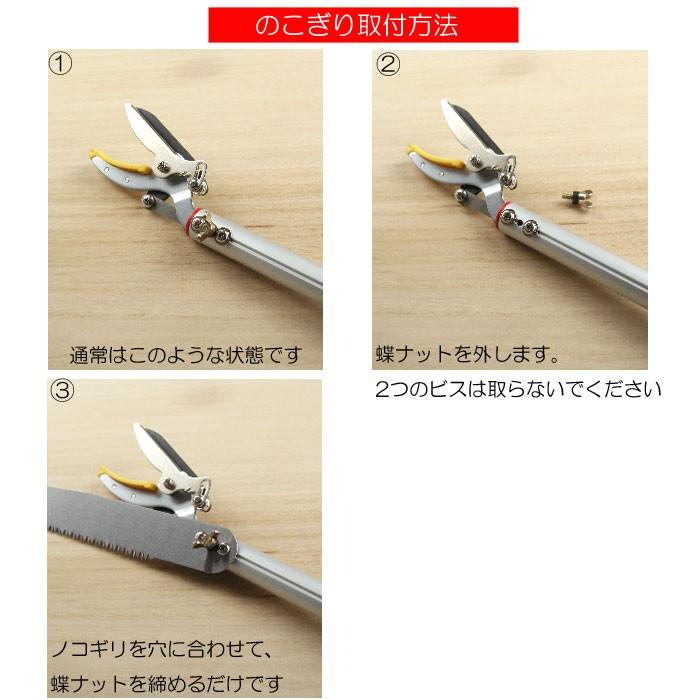高枝切りバサミ 高枝切鋏 アンビル刃 赤柄 のこぎり付 枝切りバサミ 伸縮 剪定鋏 ガーデニング 剪定バサミ ハサミ 軽量 剪定 庭木 剪定ハサミ B Bセレクト 通販 Yahoo ショッピング