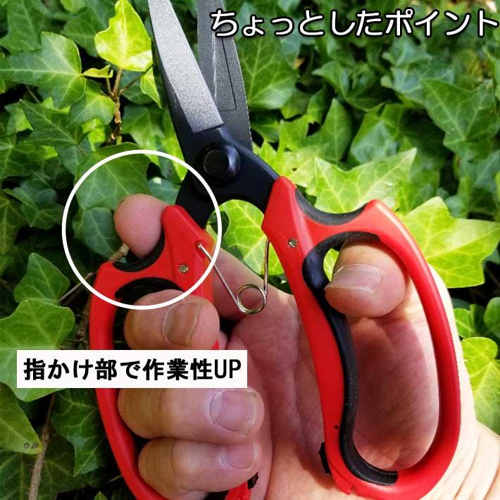 三共コーポレーション 剪定ばさみ 剪定鋏 プロ用 ガーデニング 三共コーポレーション 剪定ばさみ 剪定鋏 プロ用 ガーデニング