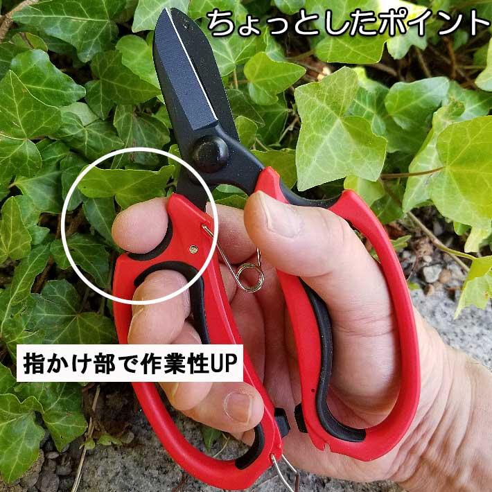 剪定鋏 フッ素コーティング花はさみ 22 剪定ばさみ 剪定鋏 剪定ハサミ 剪定バサミ B Bセレクト 通販 Yahoo ショッピング