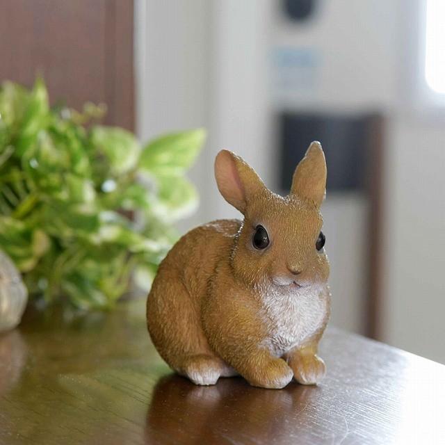 高い素材 うさぎのオーナメントセット 玄関 インテリア 雑貨 ガーデン 置物 ガーデニング オーナメント かわいい オブジェ マスコット Babylonrooftop Com Au