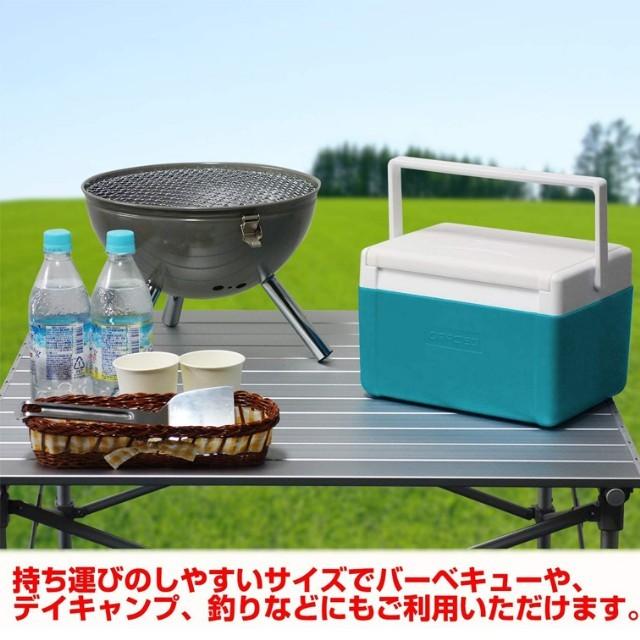 JEJアステージ クーラーボックス 小型 軽量 5L アウトドア キャンプ
