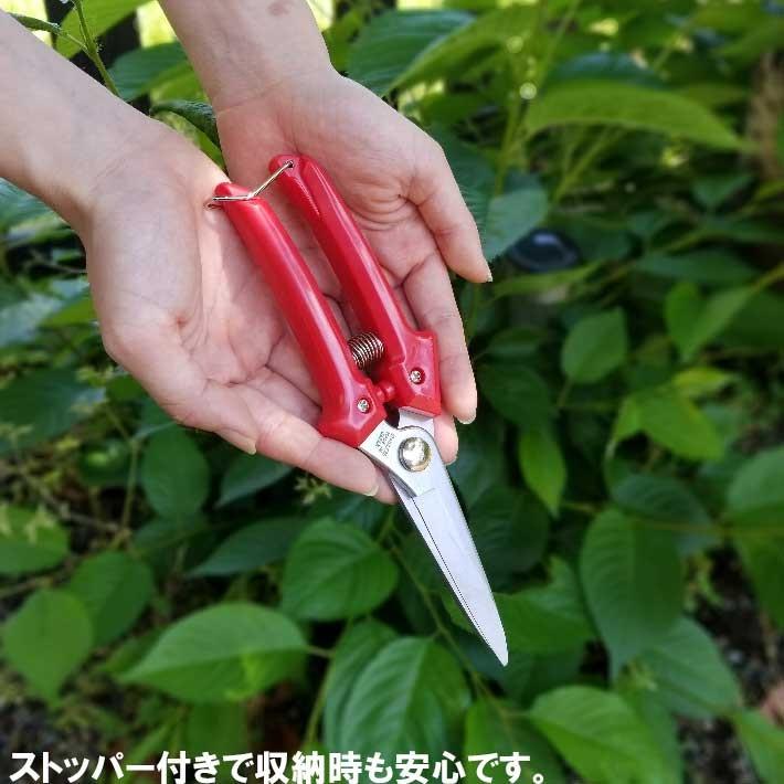 万能ばさみ ステンレス LF-2 剪定バサミ 日本製  女性用 枝切りバサミ 園芸バサミ 枝切りばさみ 剪定はさみ｜b-bselect｜06