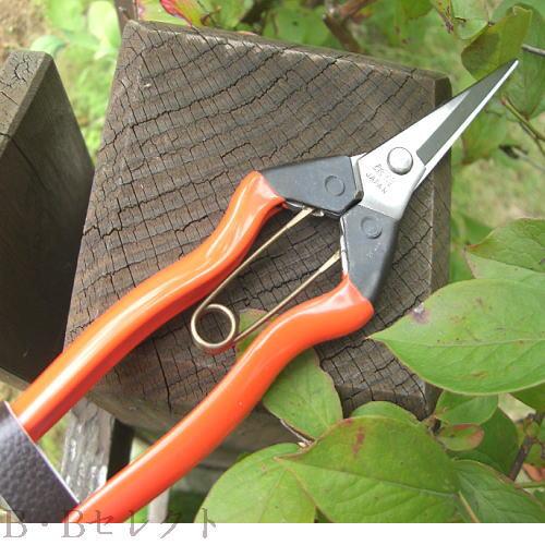 収穫ばさみ 越路 ステンレス刃長摘果鋏 J2 剪定ばさみ 収穫バサミ 摘果 盆栽 芽切り 枝切り 枝切りばさみ | ブランド登録なし | 03