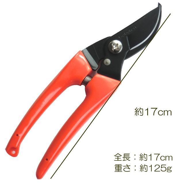 サボテン レディース剪定ばさみno11 剪定ばさみ 剪定鋏 剪定ハサミ 剪定バサミ No11 B Bセレクト 通販 Yahoo ショッピング