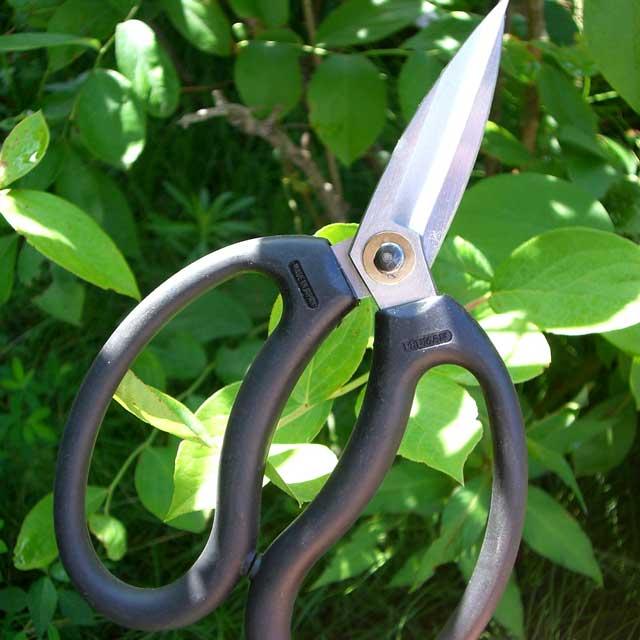 剪定ばさみ プルーマン 大久保型花鋏 OK170  剪定バサミ 日本製  女性用 枝切りバサミ 園芸バサミ 枝切りばさみ 剪定はさみ | ブランド登録なし | 03